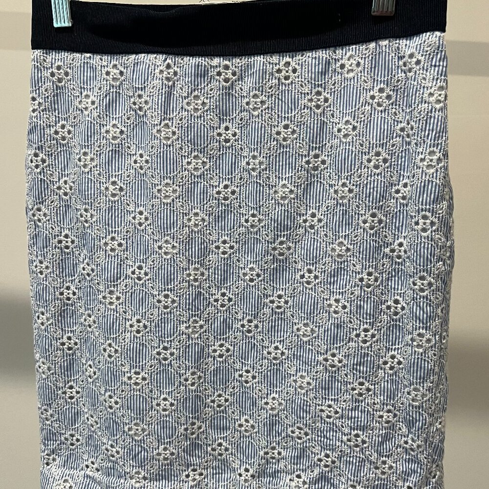Ann Taylor skirt
